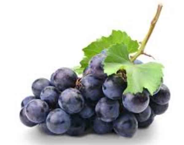 Resveratrol in blauwe druiven