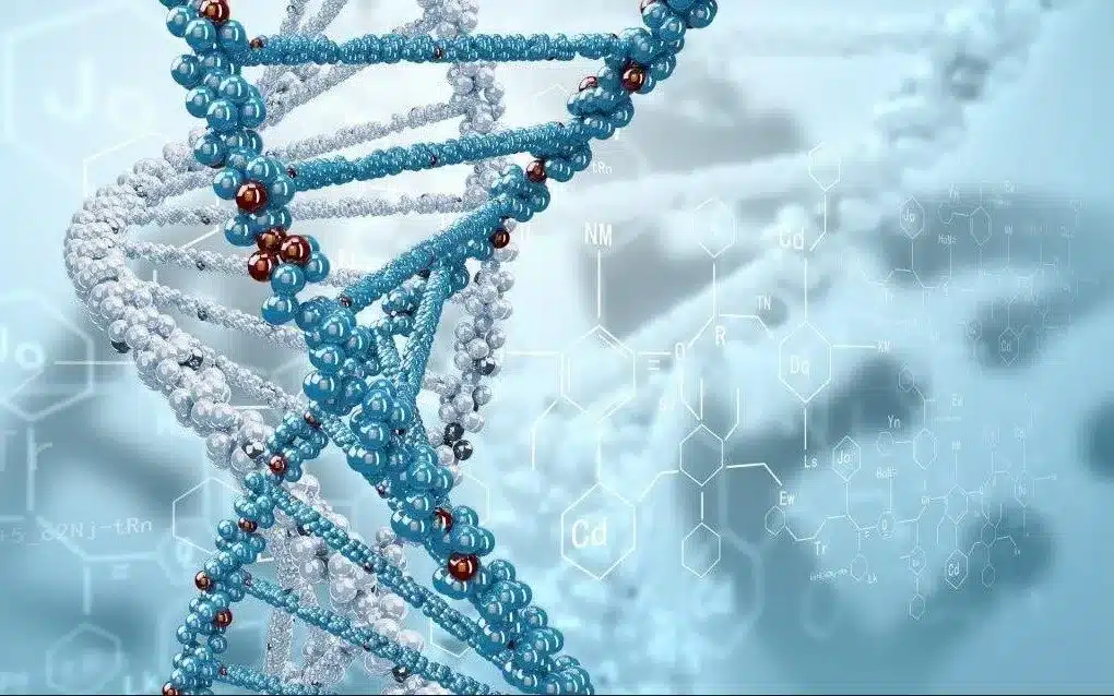 NMN-supplement en DNA-string