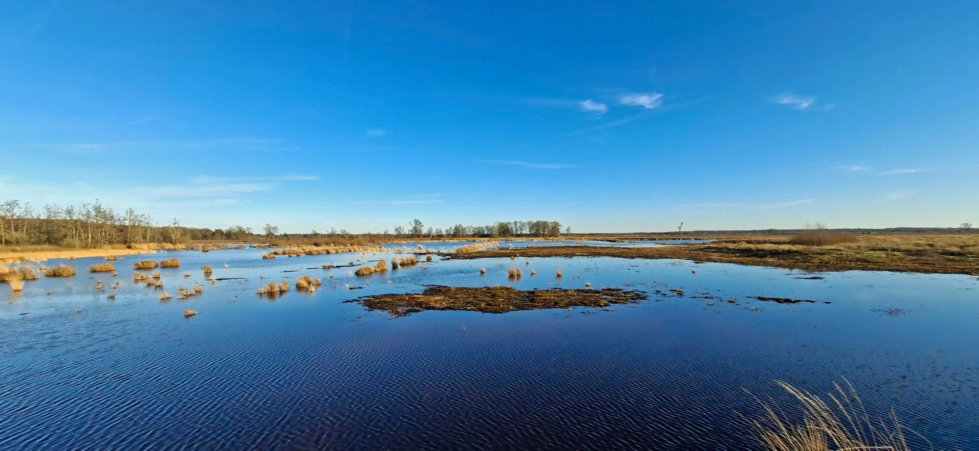 Blauw mooi drenthe
