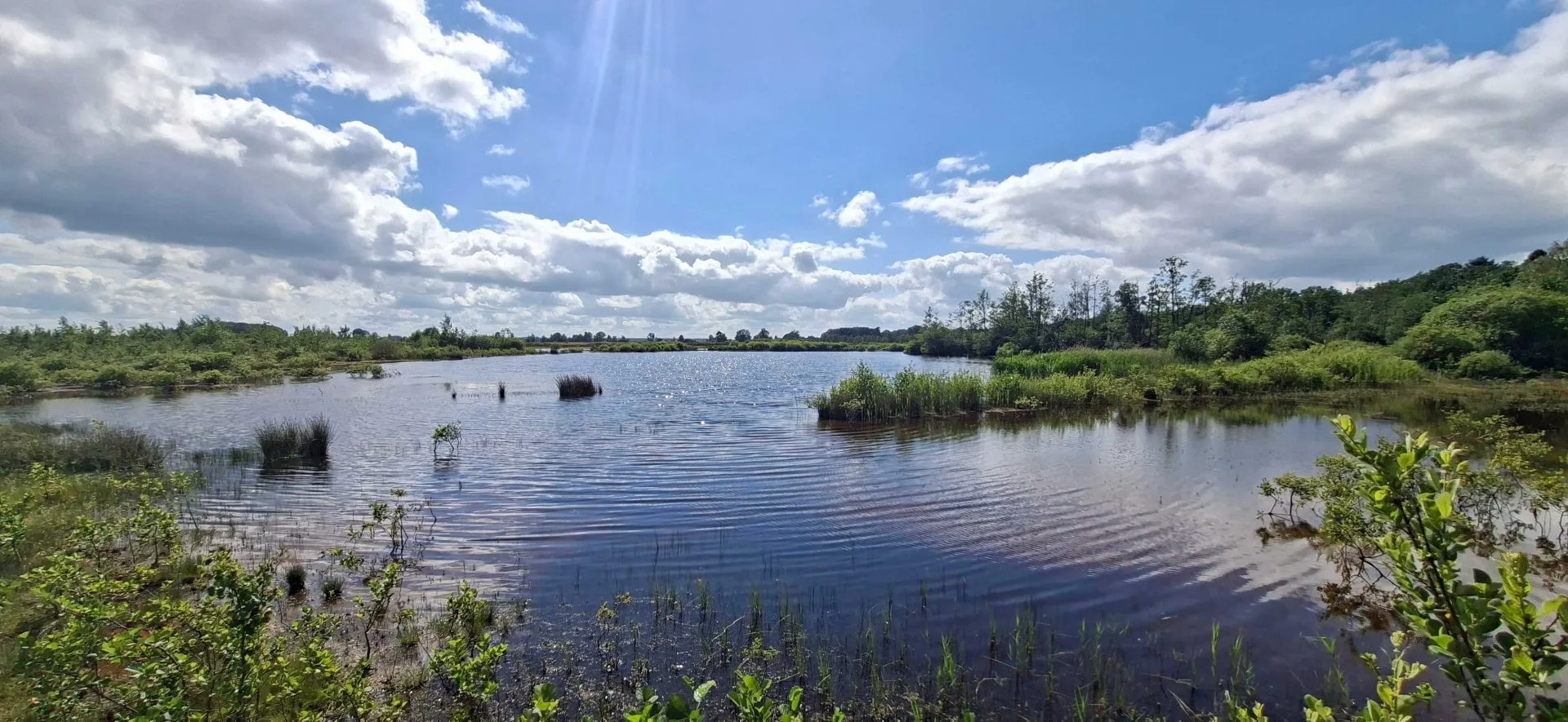 Meertje in mooi drenthe