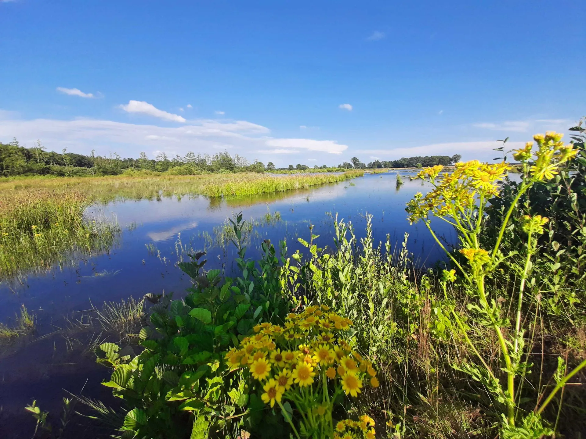 Mooi Drents meer