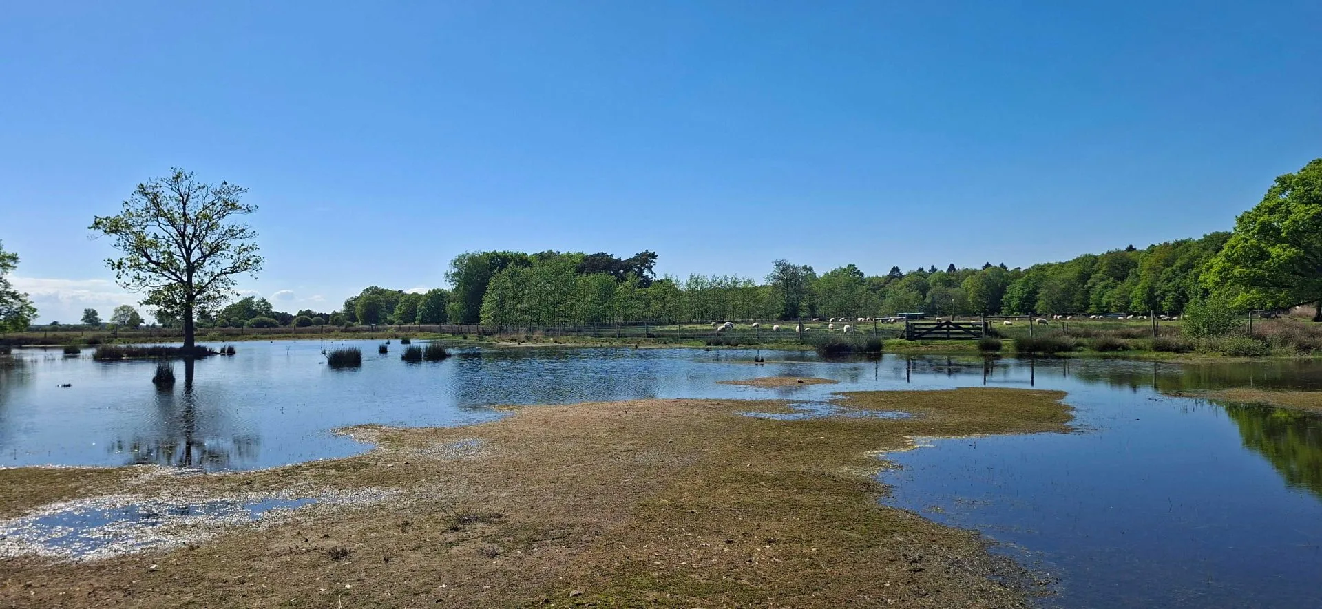 Schaapskooi mooi drenthe