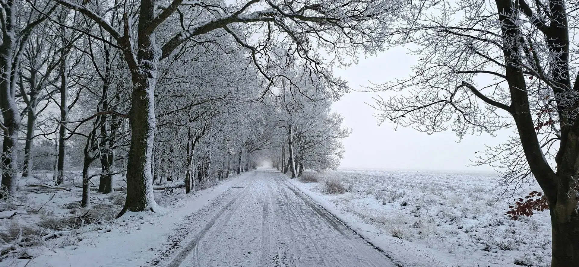 Sneeuw mooi drenthe