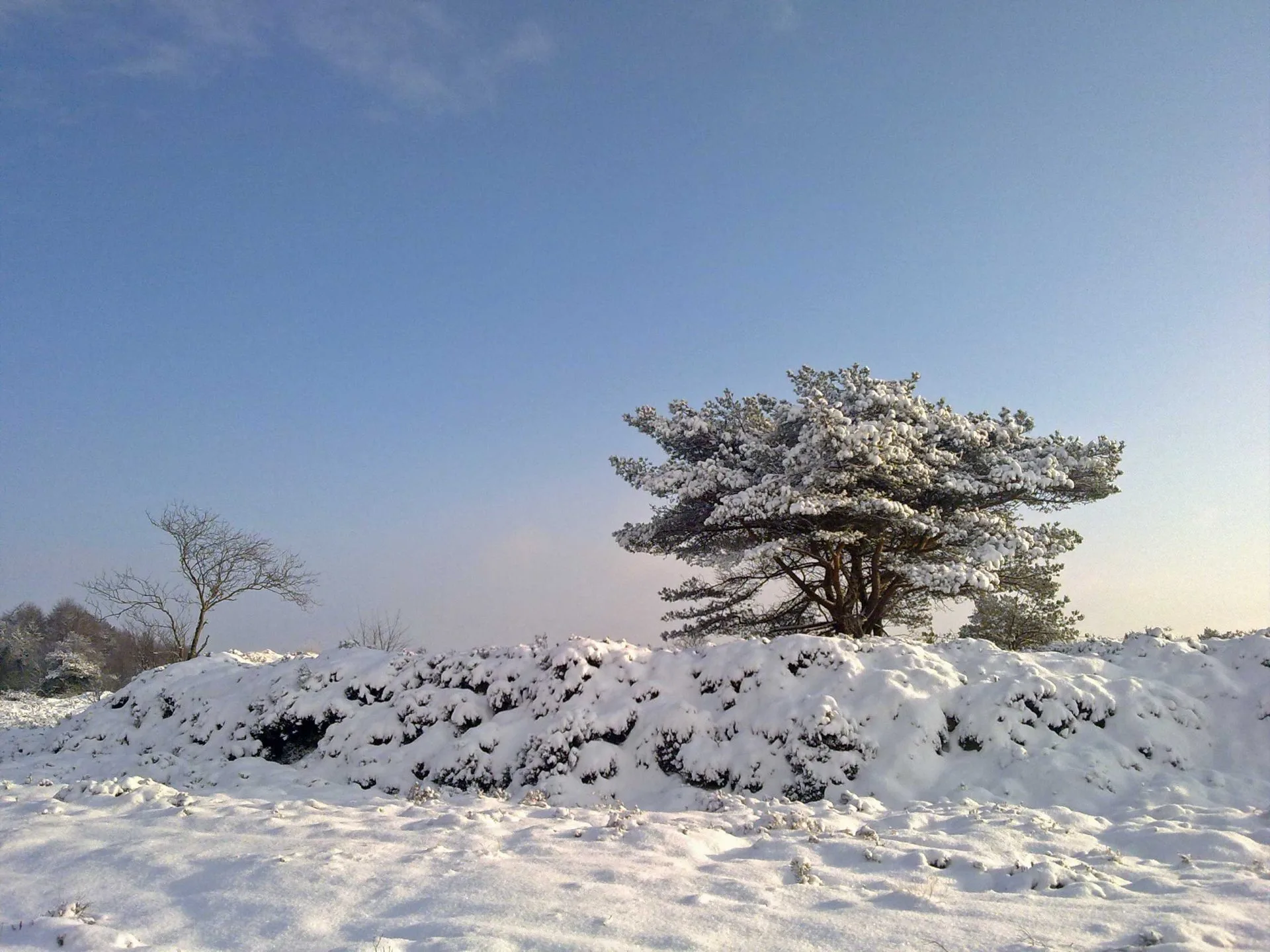 Veel sneeuw in Drenthe