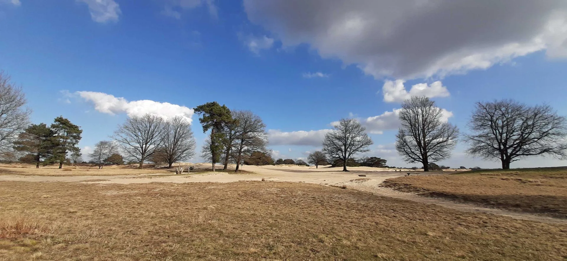 meer duinen in drenthe