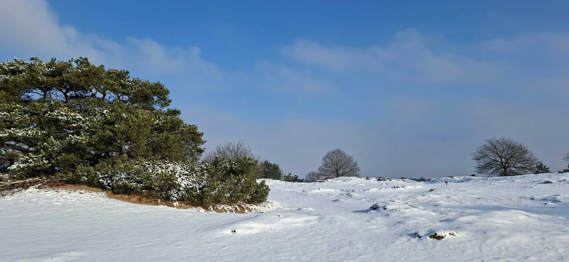 winterlandschap in de duinen