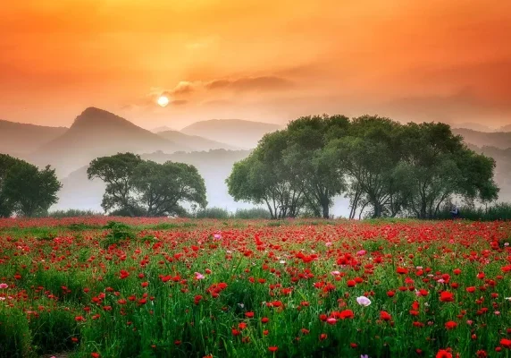 Wat is spiritualiteit met gedicht